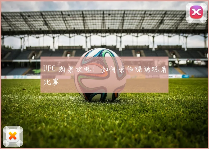 UFC 购票攻略：如何亲临现场观看比赛