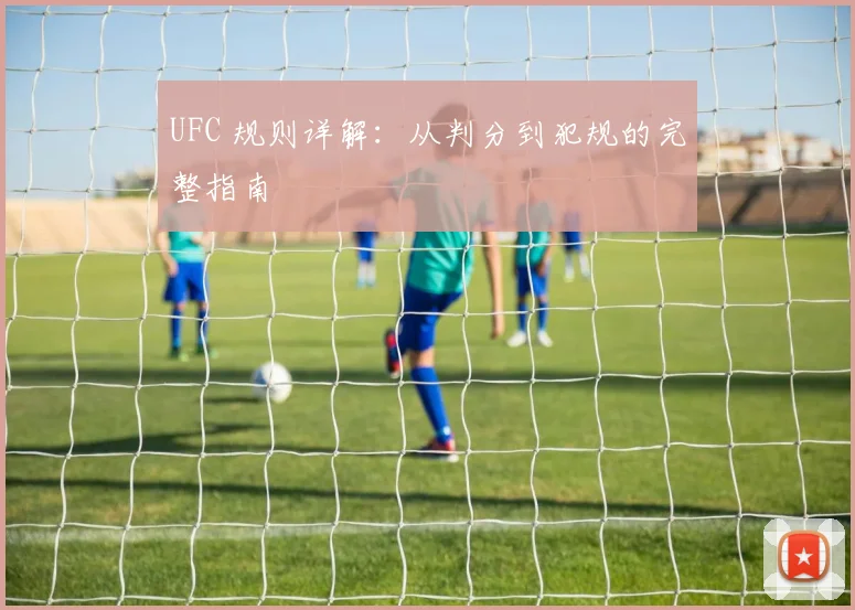UFC 规则详解：从判分到犯规的完整指南
