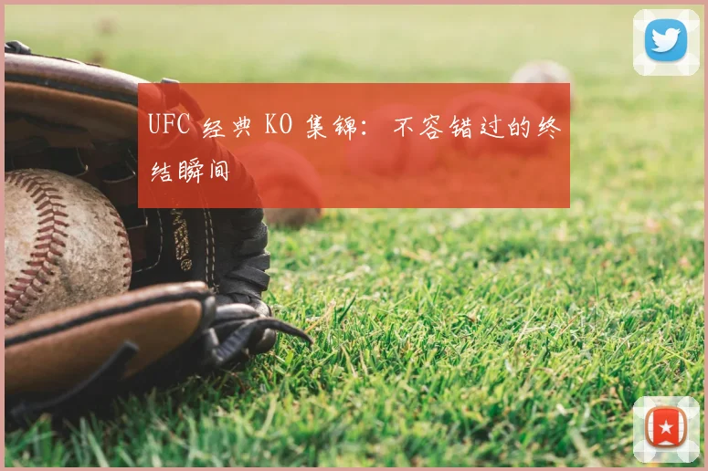UFC 经典 KO 集锦:不容错过的终结瞬间