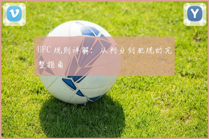 UFC 规则详解：从判分到犯规的完整指南